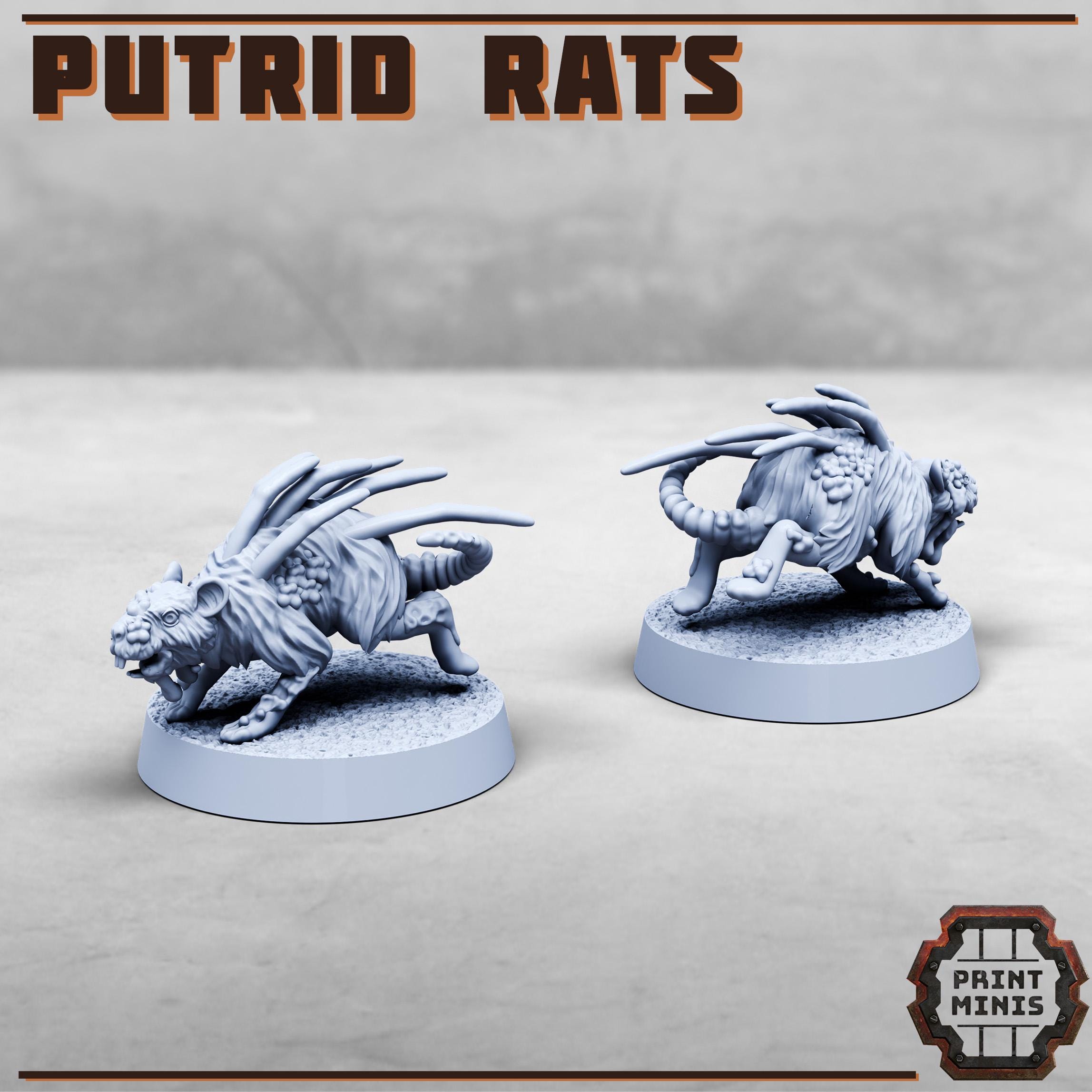 Image of the set of Stack City - x5 Putrid Rats - by Seaside Crow