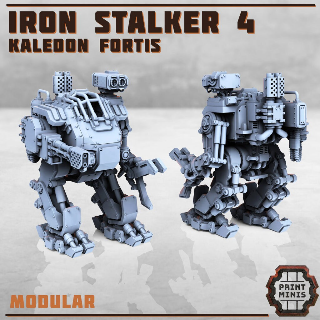 Kaledon Fortis - 1x Iron Stalker Sentinel