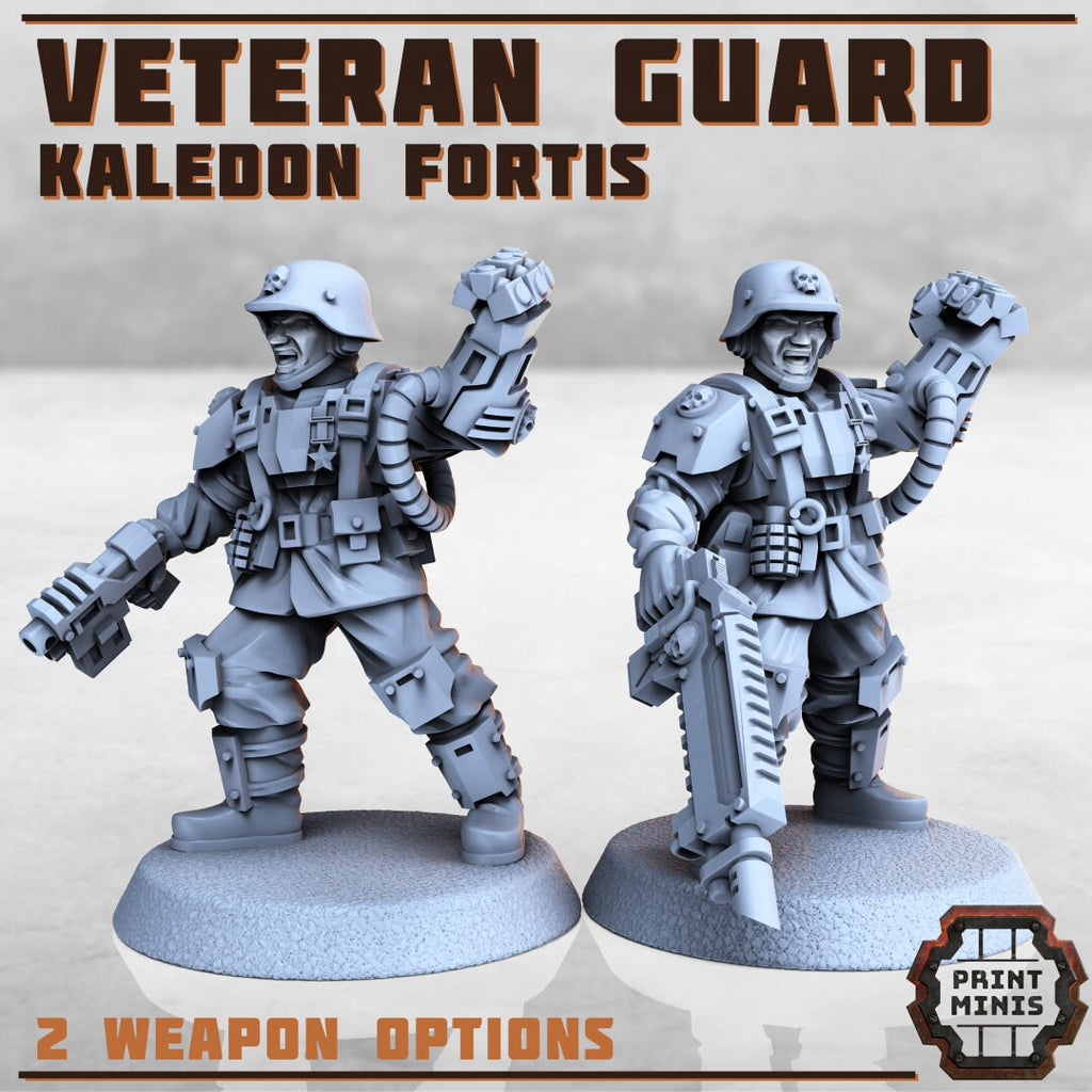 Kaledon Fortis - 1x Veteran Guard