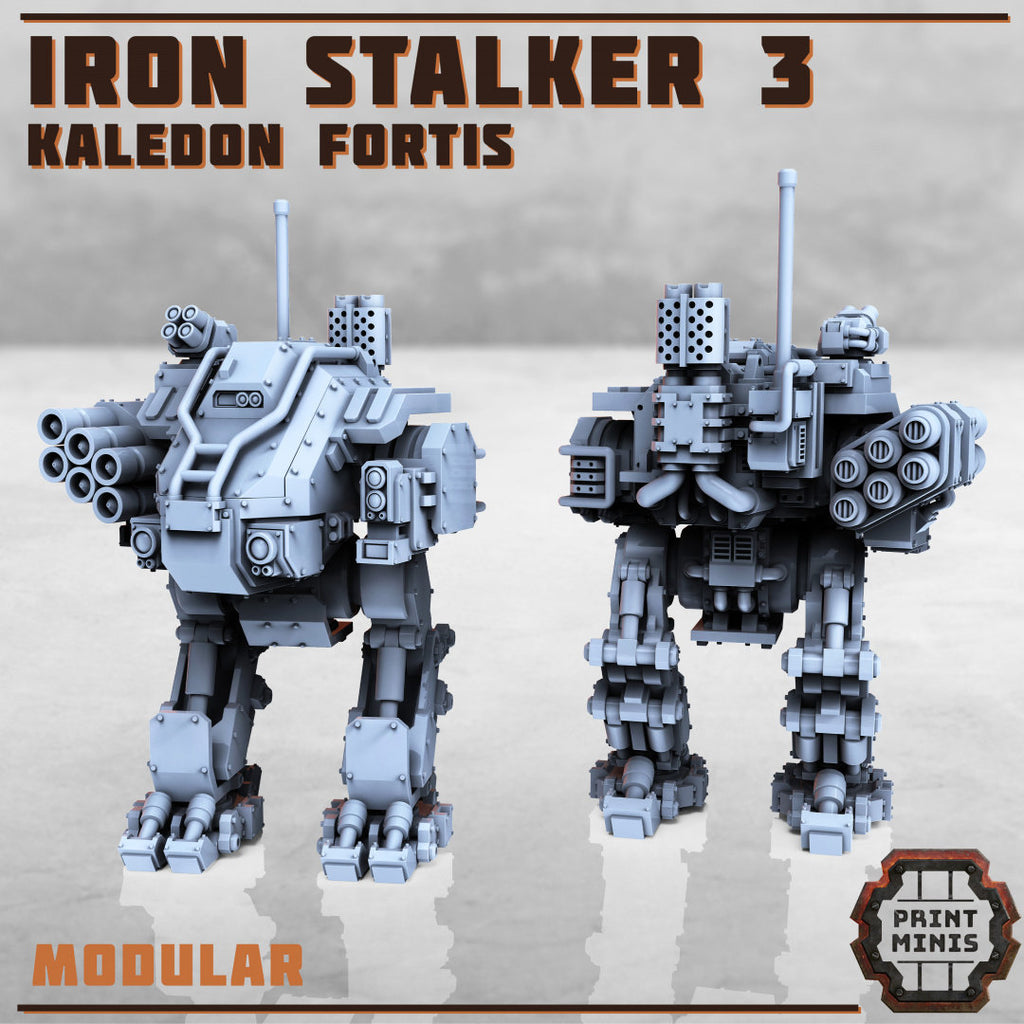 Kaledon Fortis - 1x Iron Stalker Sentinel