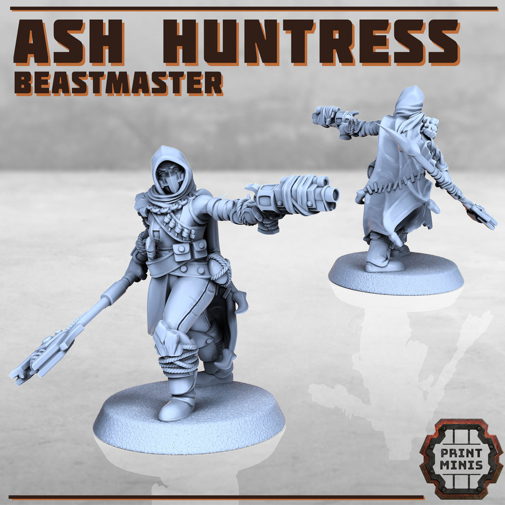 Image of the set of Stack City - Ash Huntress and Zulbatus - by Seaside Crow