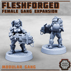 Image of the set of Fleshforged Gang - Female Gangers 1 - by Seaside Crow