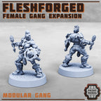 Image of the set of Fleshforged Gang - Female Gangers 1 - by Seaside Crow