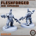 Image of the set of Fleshforged Gang - Expansion 2 - by Seaside Crow