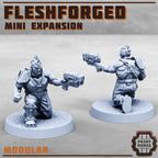 Image of the set of Fleshforged Gang - Expansion 2 - by Seaside Crow