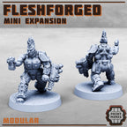Image of the set of Fleshforged Gang - Expansion 2 - by Seaside Crow