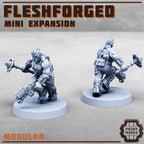 Image of the set of Fleshforged Gang - Expansion 2 - by Seaside Crow