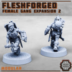 Image of the set of Fleshforged Gang - Female Gangers 2 - by Seaside Crow