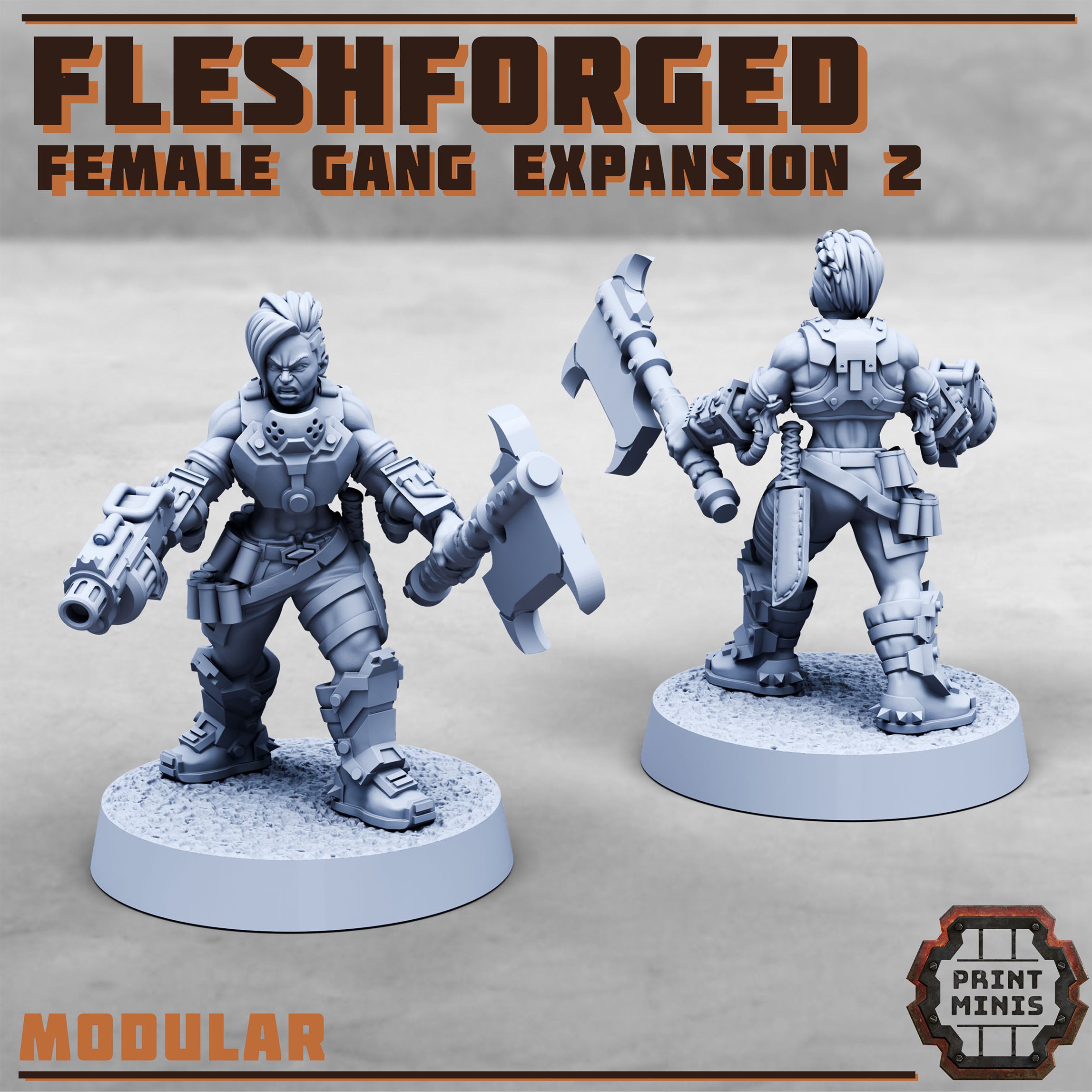 Image of the set of Fleshforged Gang - Female Gangers 2 - by Seaside Crow