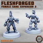 Image of the set of Fleshforged Gang - Female Gangers 2 - by Seaside Crow
