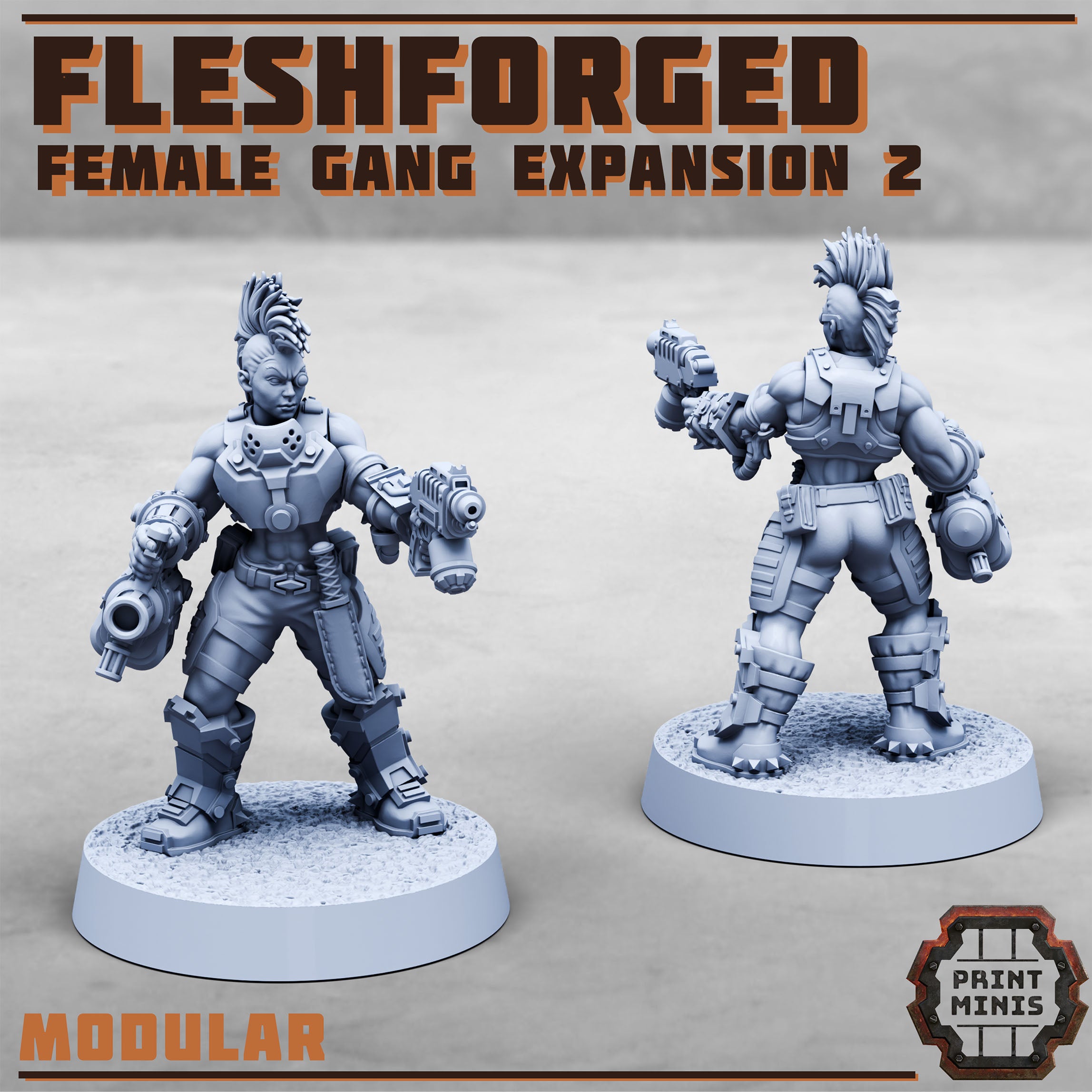 Image of the set of Fleshforged Gang - Female Gangers 2 - by Seaside Crow