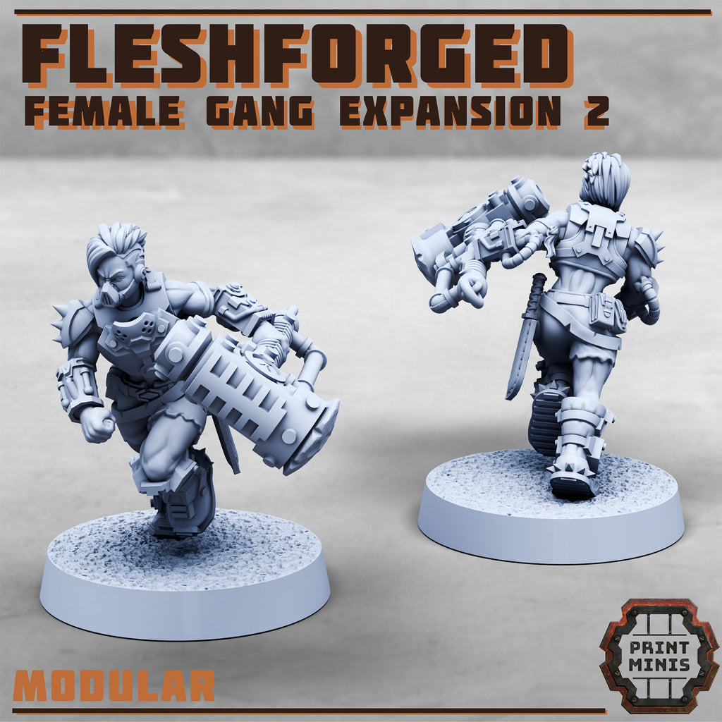 Image of the set of Fleshforged Gang - Female Gangers 2 - by Seaside Crow