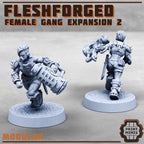 Image of the set of Fleshforged Gang - Female Gangers 2 - by Seaside Crow