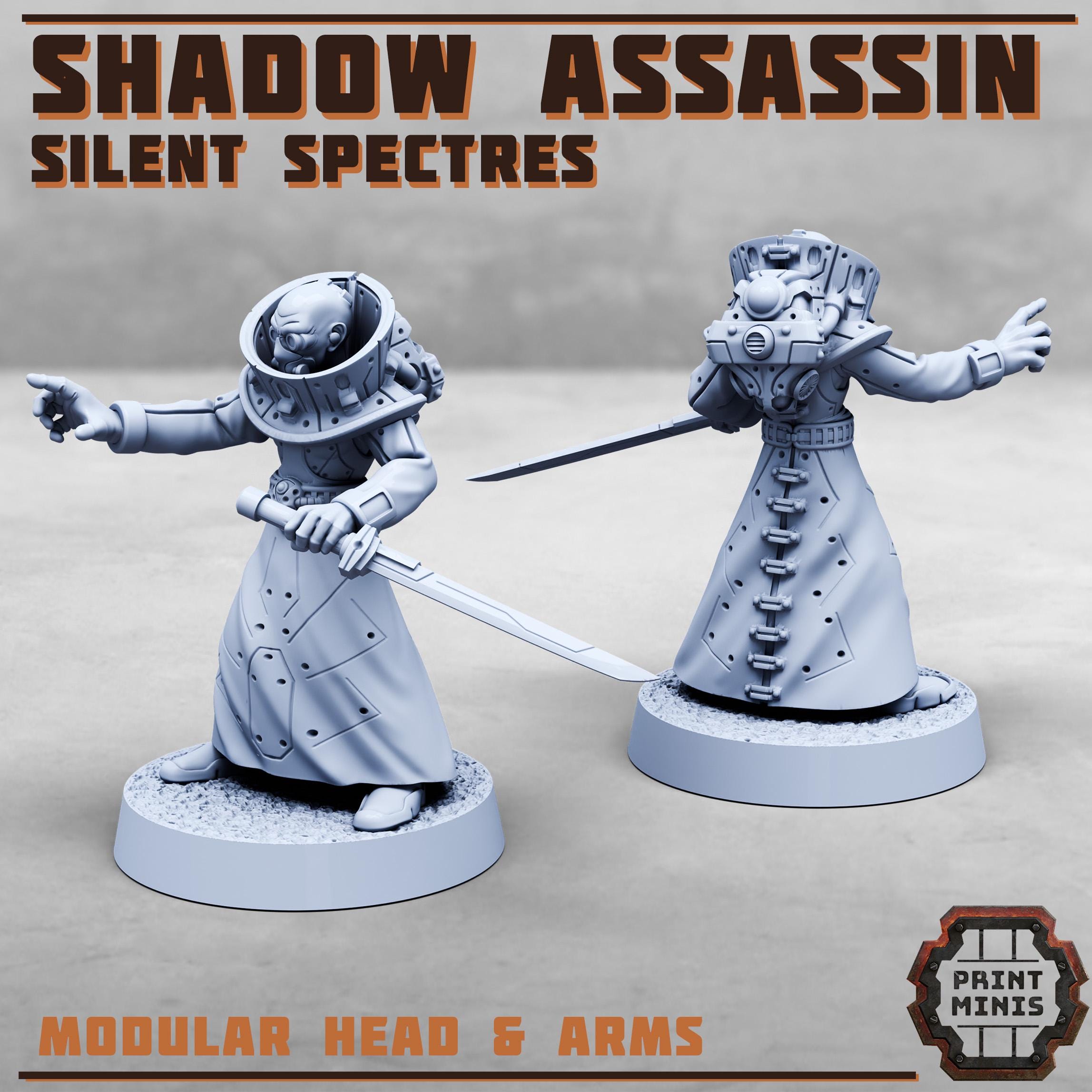 Image of the set of Silent Spectres - Shadow Assassin - by Seaside Crow