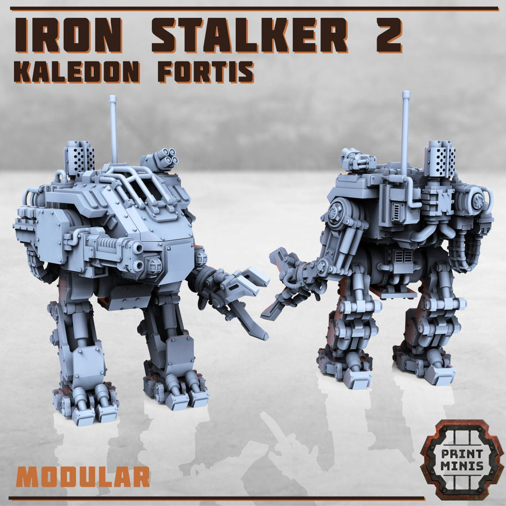 Kaledon Fortis - 1x Iron Stalker Sentinel
