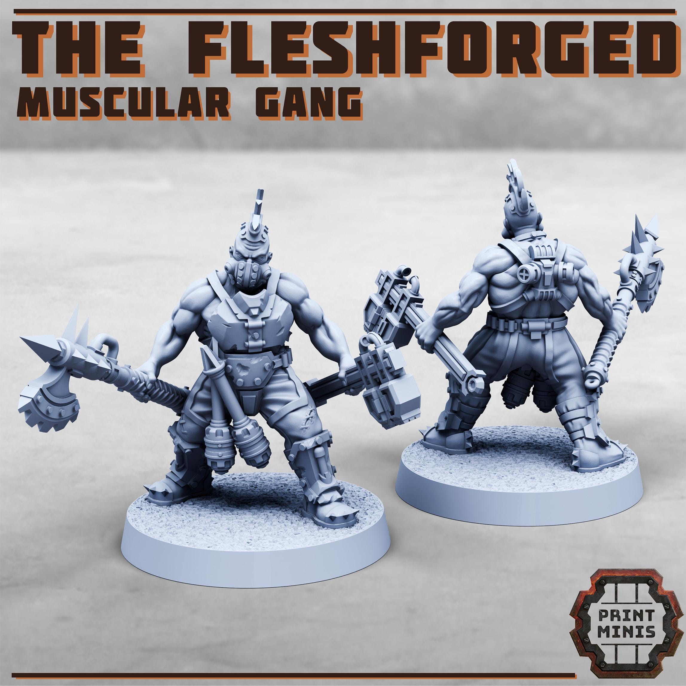 Image of the set of Fleshforged Gang - x12 Gangers - by Seaside Crow