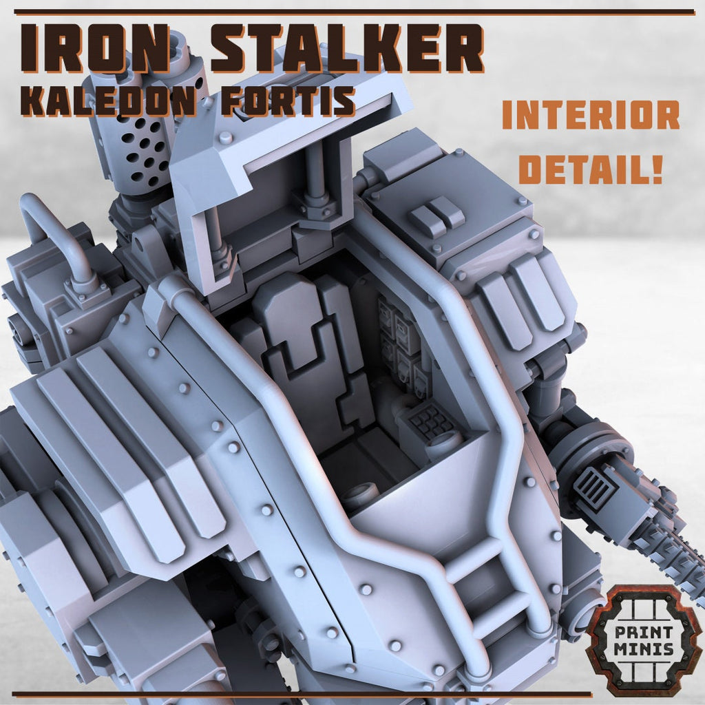 Kaledon Fortis - 1x Iron Stalker Sentinel
