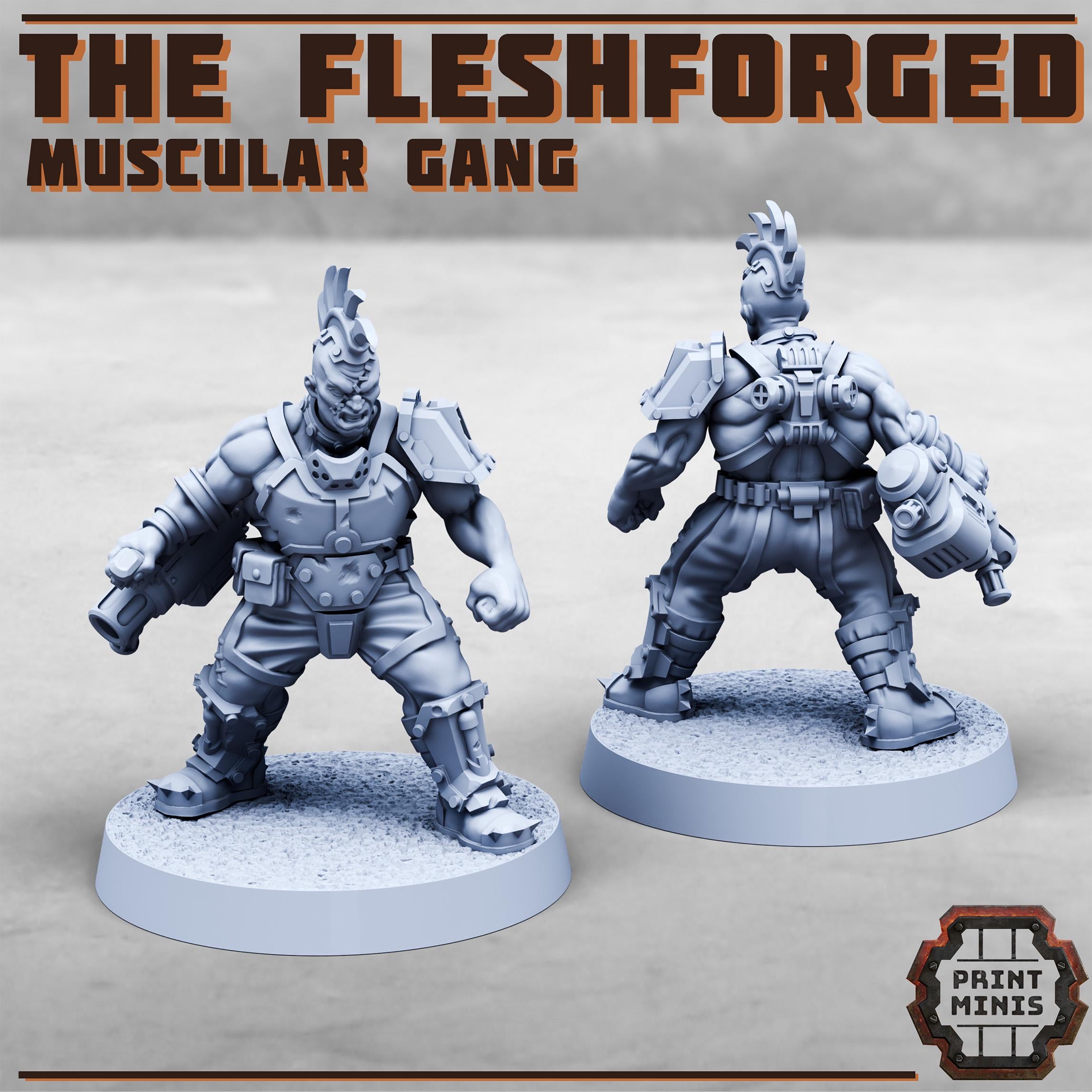 Image of the set of Fleshforged Gang - x12 Gangers - by Seaside Crow